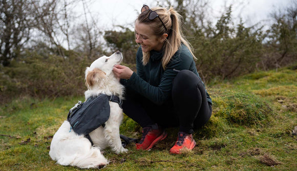 6 Tips to Start Hiking With Your Dog